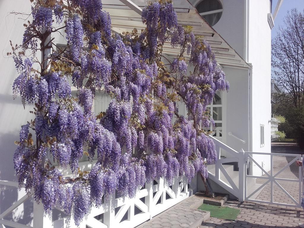 Appartamento Lila Ház Harkány Esterno foto